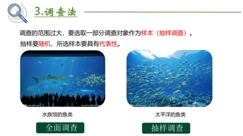 七上第一单元 生物和生物圈复习课件(共26张PPT)