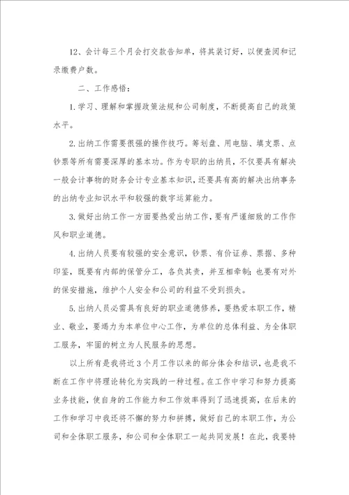 企业出纳年底工作总结范文00001