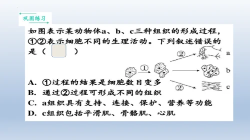 人教版生物七年级上册第一单元《生物与细胞》单元复习课件(共53张PPT)