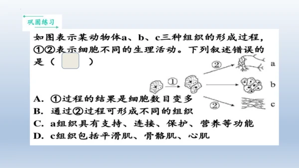 人教版生物七年级上册第一单元《生物与细胞》单元复习课件(共53张PPT)