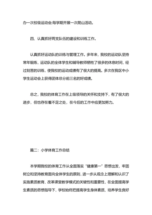 农村小学2019年体育工作总结.docx