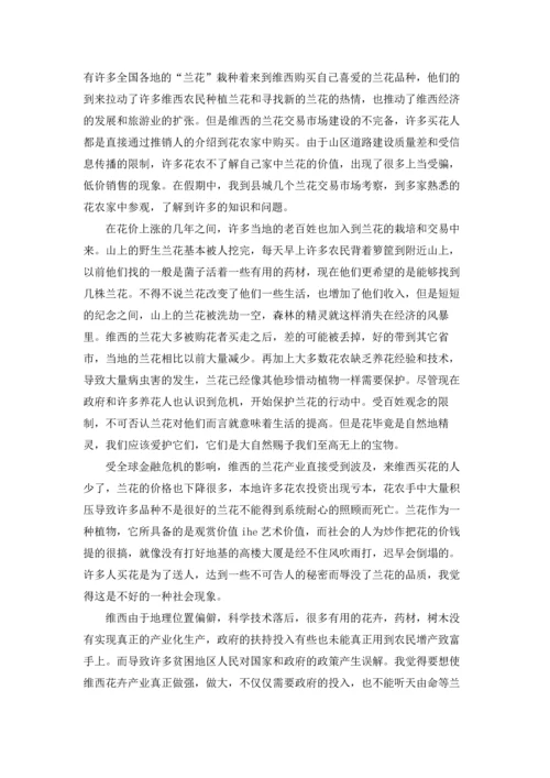 设计学生实习报告范文集锦7篇.docx