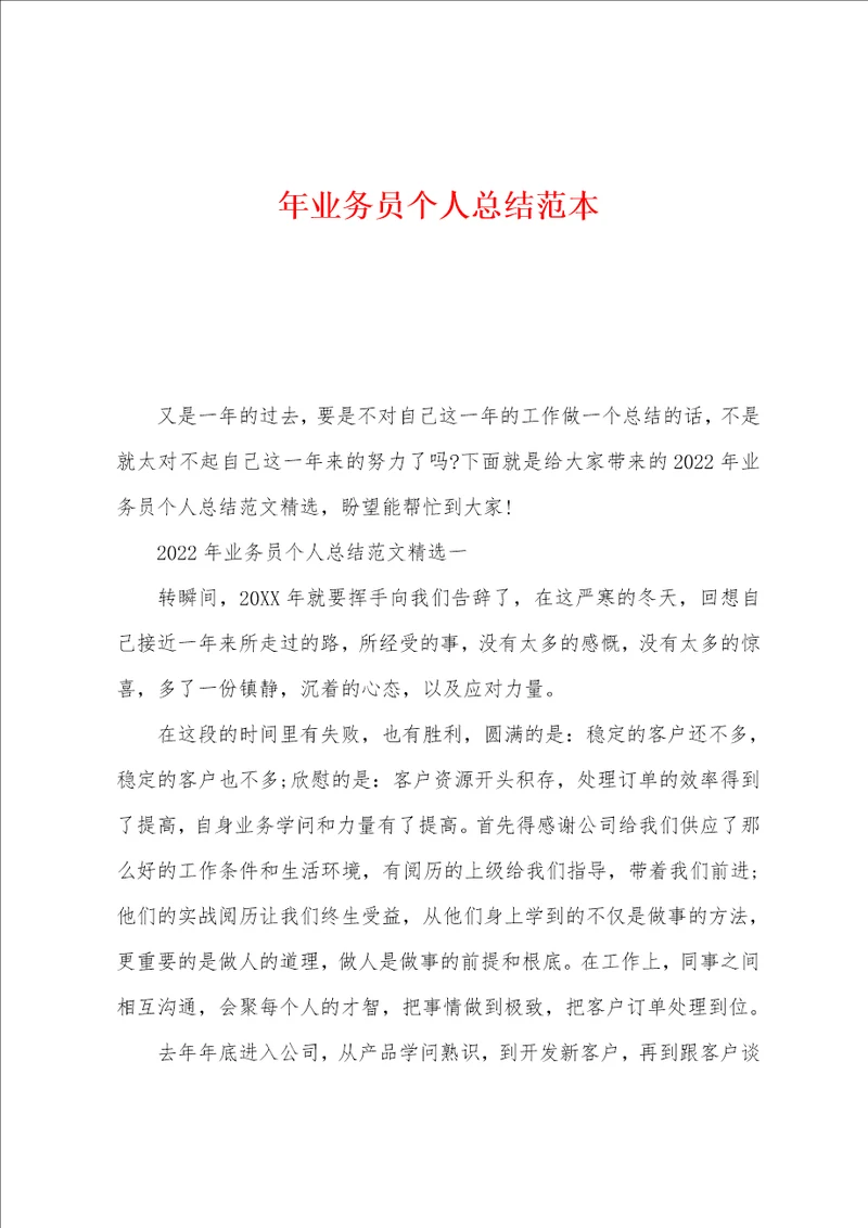 年业务员个人总结范本