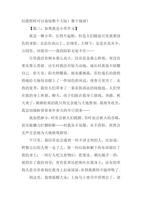 假如我是小草作文.docx