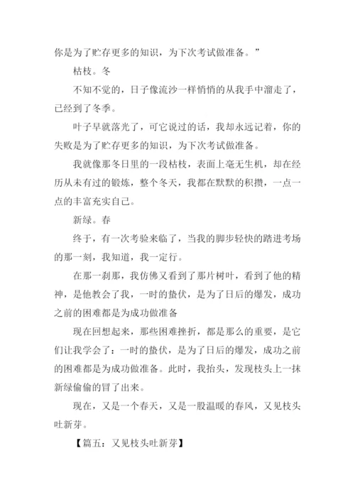 又见枝头吐新芽作文800字.docx