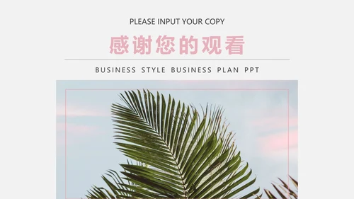 粉色椰风商业计划PPT模板