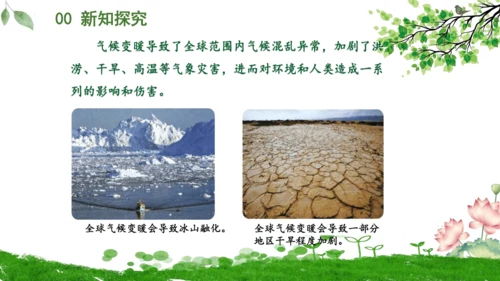 12.低碳生活每一天