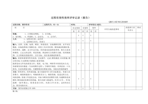 过程有效性效率评审记录.docx