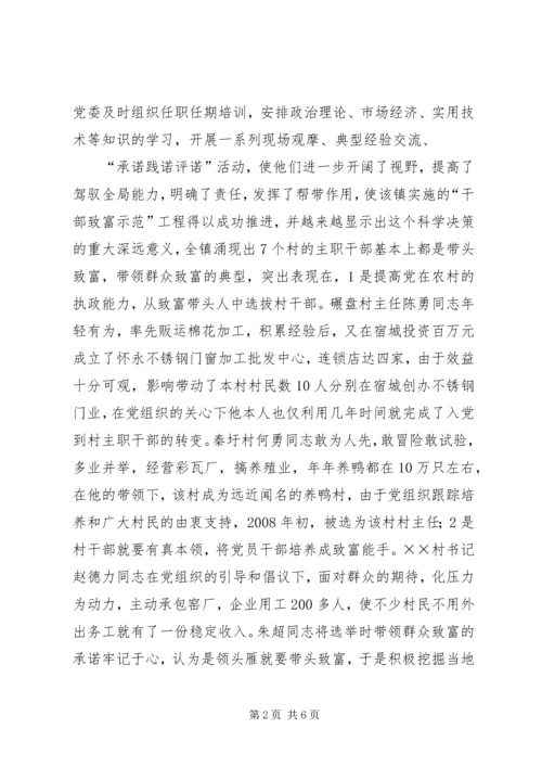 先锋工程协调经济发展交流材料.docx