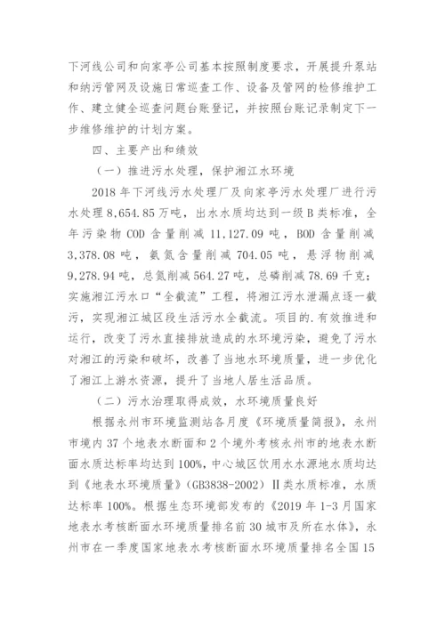 污水处理项目绩效评价报告.docx