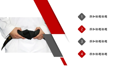 武术跆拳道比赛空手道PPT模板