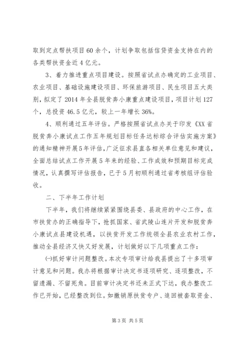 扶贫办XX年上半年工作总结及下半年工作计划 (2).docx