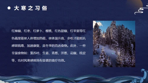 古典中国风大寒节气通用PPT模板