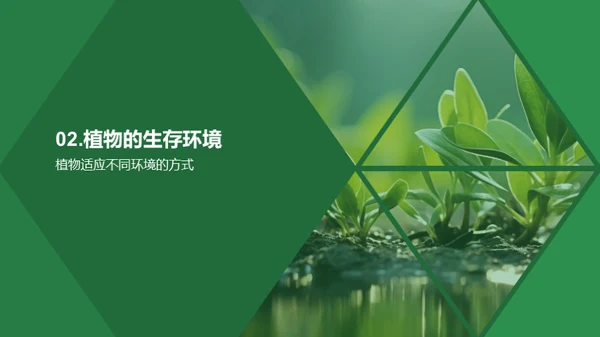 植物生存与人类福祉