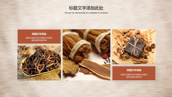 传统中医学中医院中医文化中草药PPT模板