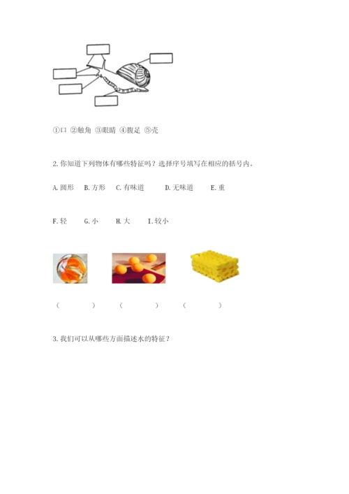 教科版小学科学一年级下册期末测试卷及参考答案【典型题】.docx