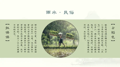 雨水节气谷雨通用PPT模板