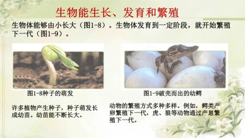 人教版（2024）七年级上册1.1.2 生物的特征 课件(共20张PPT)