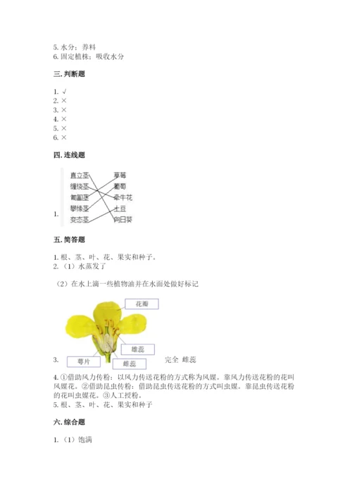 教科版四年级下册科学第一单元《植物的生长变化》测试卷精品及答案.docx