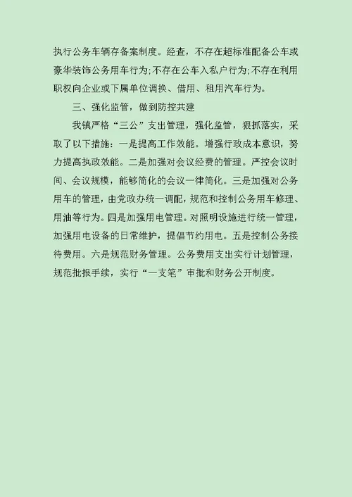 乡镇三公经费自查报告范文