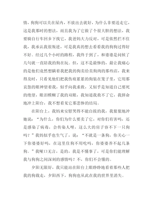 爱狗DD作文0.docx