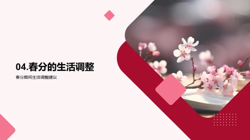 春分节气与生活学习