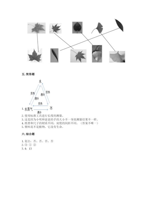 教科版一年级上册科学期末测试卷含完整答案（全国通用）.docx