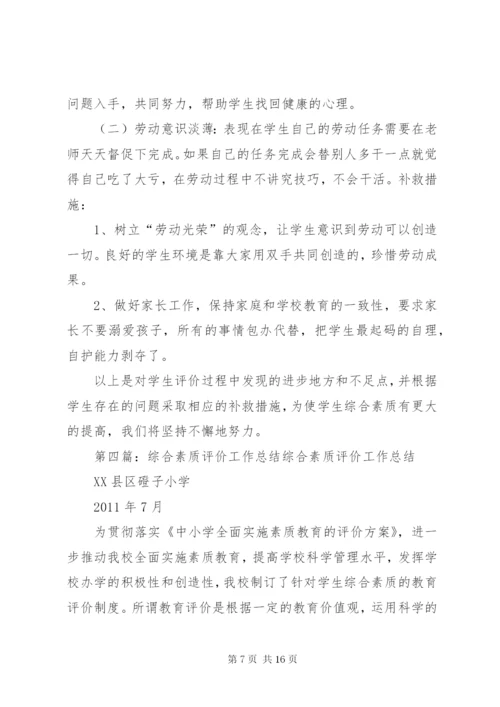 综合素质评价工作总结 (4).docx
