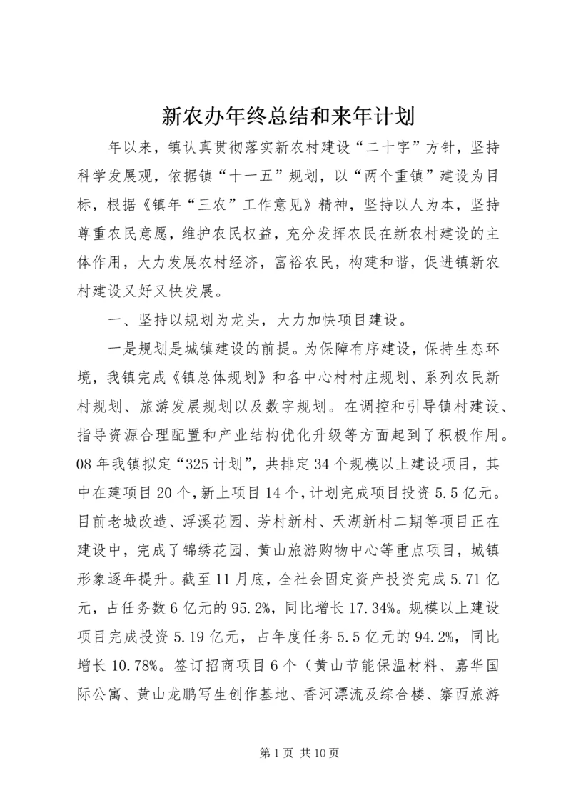 新农办年终总结和来年计划.docx