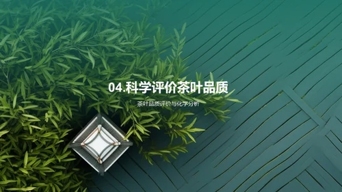 茶叶质量升级攻略