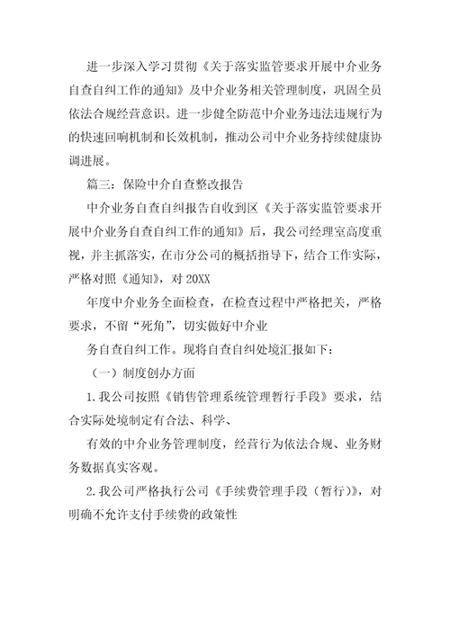 中介机构自查报告