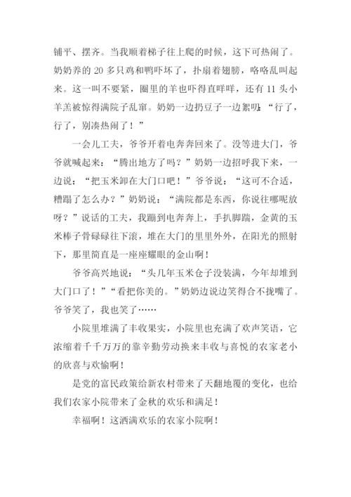 洒满阳光的农家小院作文.docx