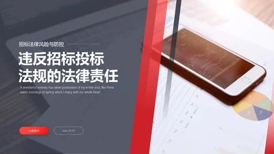 违规招标投标法律风险防控PPT课件