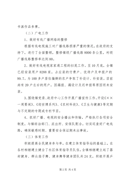 乡镇文体广电站工作总结和工作打算.docx