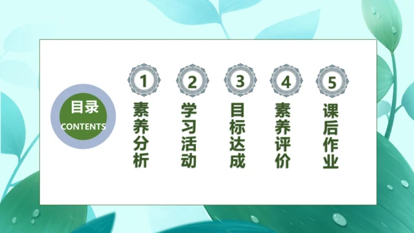 【核心素养】部编版语文二年级下册-22. 小毛虫 第1课时（课件）