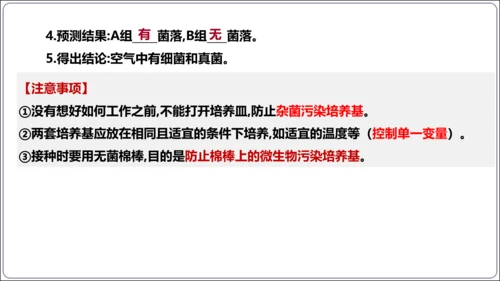 【人教八上生物期中复习考点梳理+临考押题】第四、五章 细菌、真菌和病毒（串讲课件）(共30张PPT)