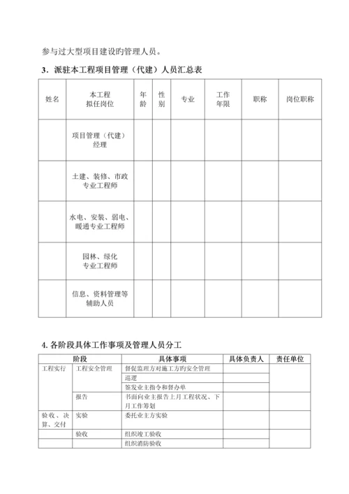 关键工程代建工作专题方案.docx