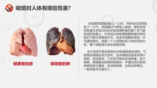 吸烟有害健康世界无烟日主题教育PPT课件