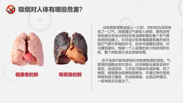 吸烟有害健康世界无烟日主题教育PPT课件