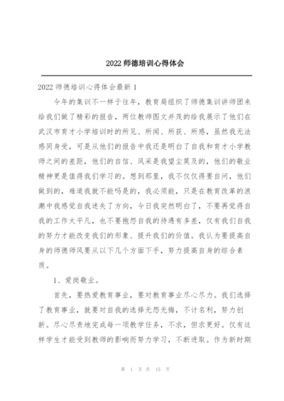 2022师德培训心得体会.docx