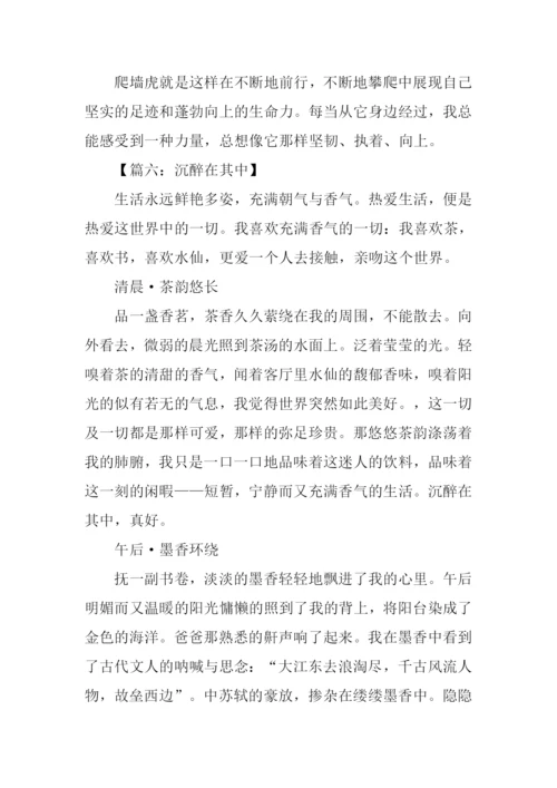 关于什么在其中作文.docx