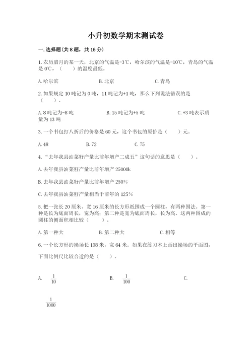 小升初数学期末测试卷精品（全优）.docx