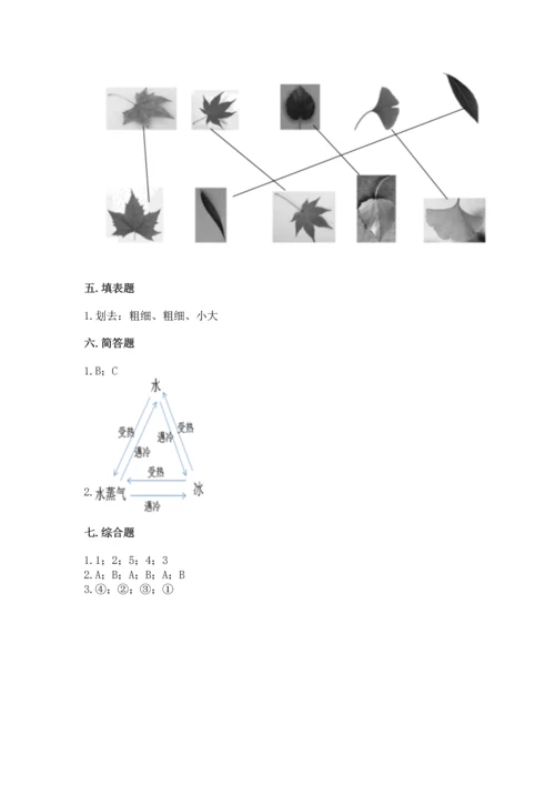 教科版科学一年级上册第一单元《植物》测试卷（a卷）word版.docx