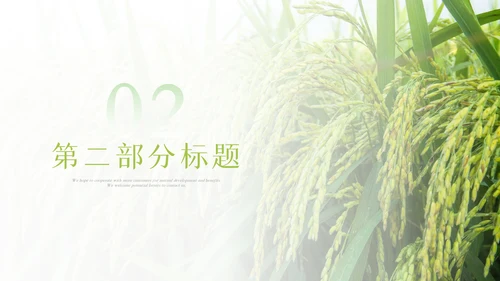 绿色农业生产春耕三农乡村振兴稻田水稻PPT