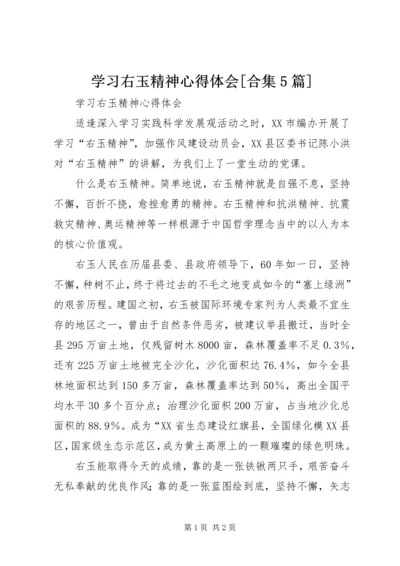 学习右玉精神心得体会[合集5篇] (4).docx