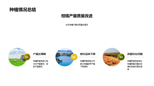 柑橘产业赋能：挑战与战略