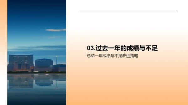 公司年度回顾与展望
