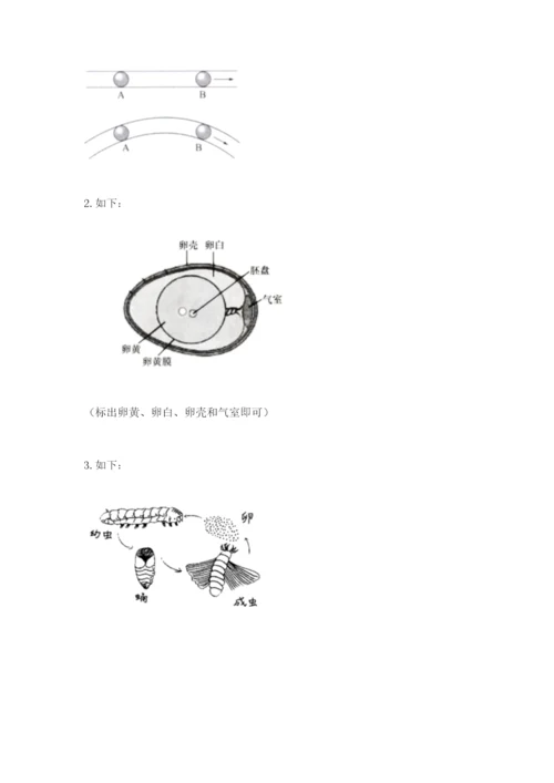 教科版三年级下册科学期末测试卷精品【完整版】.docx