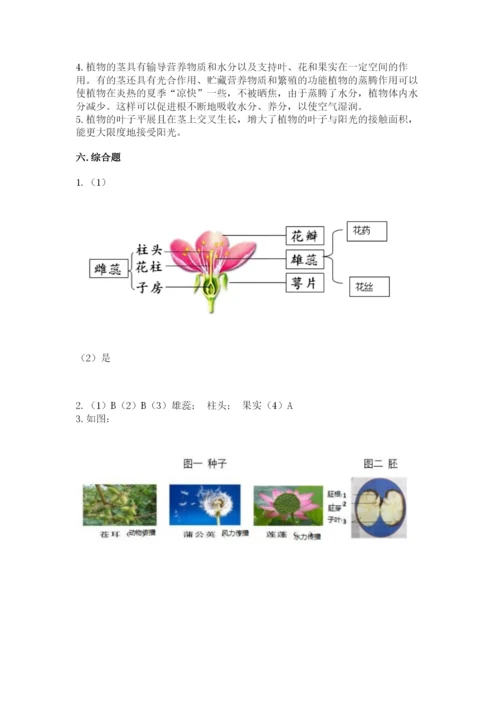 科学四年级下册第一单元《植物的生长变化》测试卷及答案（全优）.docx