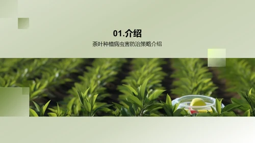 茶园病虫害科学防治